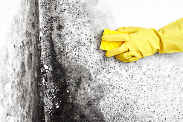 Water Damage Restoration in Granite City, IL