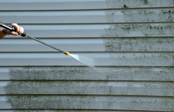 Mold Removal Process in Granite City, IL