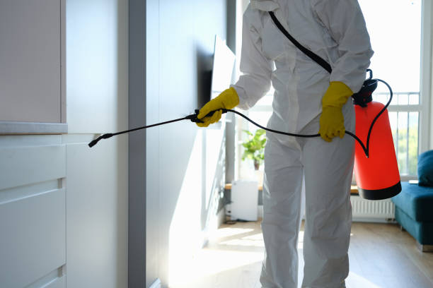 Home Mold Removal in Granite City, IL
